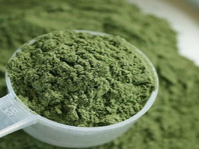 Buy Mescaline Powder Online